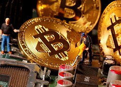 Cảnh sát bất lực khi mở khóa 1.700 Bitcoin của tội phạm