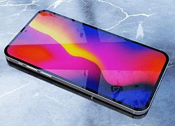 Chiếc iPhone giá rẻ được ưa thích sẽ không xuất hiện trong năm nay?