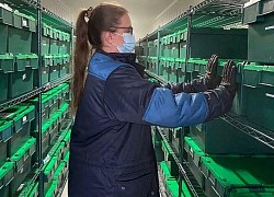 Chiến dịch giải mã biến thể nCoV Anh