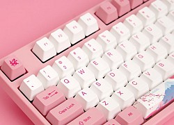 Chọn bàn phím cơ có nhất thiết phải là switch Cherry mới gõ "ngon lành"?
