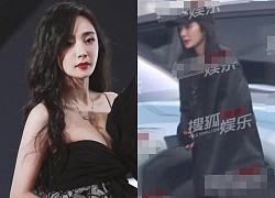Dương Mịch bị chê dáng đi kém sang bên Triệu Vy, tất cả là vì "dao kéo" nâng cấp vòng 1 ngồn ngộn?