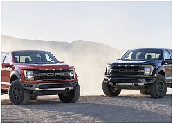 Ford F-150 Raptor 2021 được ra mắt