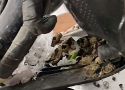 Hoảng hồn trước hình ảnh đống rác khổng lồ nằm trong xe tay ga, cảnh tỉnh hội chị em về một thói quen xấu đầy nguy hại