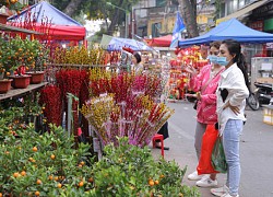 Khuyến cáo mới nhất của Bộ Y tế để đón Tết an toàn trong đại dịch Covid-19