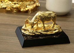 Năm Tân Sửu: Gia chủ đặt thứ này trong nhà đảm bảo cực kỳ hút lộc, làm gì cũng hoan hỉ