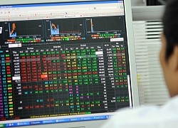 Nhà đầu tư có thể cân nhắc giải ngân trở lại