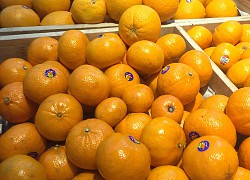 Những thói quen ăn uống lành mạnh giúp tăng sức đề kháng