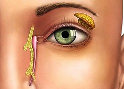 Thường xuyên xuất hiện gỉ mắt, có thể gan đang cần nghỉ ngơi