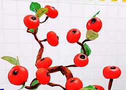 Tự làm cây bonsai chơi Tết bị chồng chê thậm tệ, vợ đuổi thẳng khỏi nhà: "Khi nào chán sống hãy về"