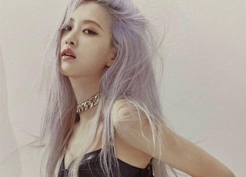 Học ngay cách fan Rosé BLACKPINK phản pháo antifan vừa sâu cay mà vẫn sang chảnh