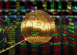 CEO Twitter tham gia vào mạng lưới giao dịch Bitcoin