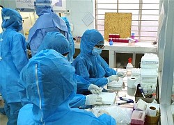 &#8216;Chủng virus SARS-CoV-2 ở TP.HCM khác với chủng ở Hải Dương và Quảng Ninh&#8217;