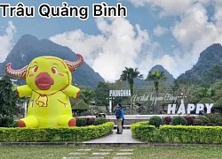 Đến hẹn lại lên, những bức tượng trâu vàng xấu hết hồn năm 2021 đã xuất hiện