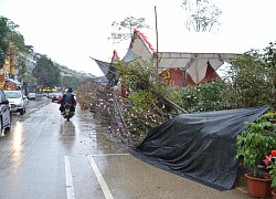 Dịch Covid-19 lại thêm mưa dông, tiểu thương chợ hoa Xuân Lào Cai lao đao