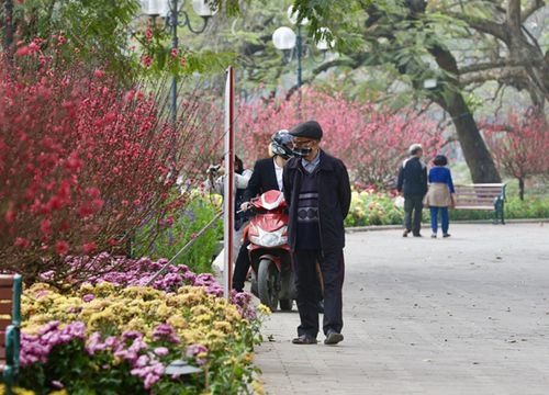 Hồ Gươm lung linh muôn sắc hoa chào đón Tết Nguyên đán Tân Sửu 2021