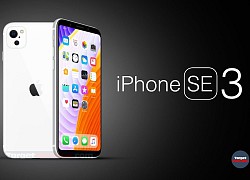 iPhone SE 3 màn hình lớn ra mắt năm sau