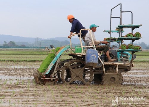 Khẩn trương xử lý các đối tượng sâu bệnh hại lúa xuân