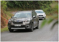 Triệu hồi Subaru Forester có nguy cơ tắt máy tại Việt Nam