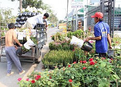 Làng hoa lớn nhất miền Tây vắng khách