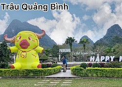 Muôn hình vạn trạng "ngáo cực độ" của linh vật Tân Sửu