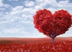 Ngày Valentine năm nay nhằm vào mùng mấy Tết?