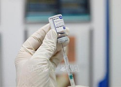 Séc muốn mua trực tiếp vaccine Sputnik V của Nga