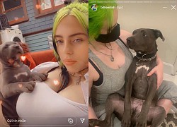 Billie Eilish khoe cún cưng lên Instagram 75 triệu follow, nhưng dân tình chỉ dán mắt vào vòng 1 "khủng" chiếm nửa khung hình