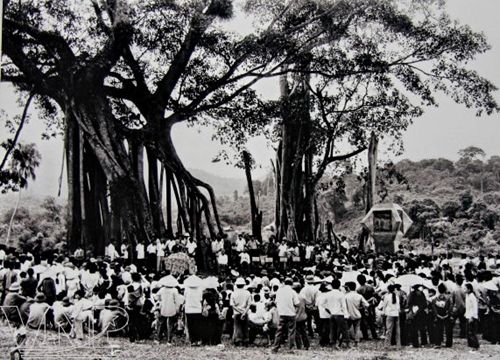 Dáng Xuân trên vùng chiến khu xưa