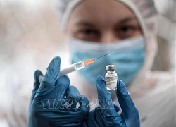 EU yêu cầu kiểm tra hiệu quả của vaccine đối với các biến thể mới của SARS-CoV-2