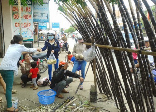 Hình ảnh nam sinh đứng "chết lặng" trong mưa lớn bên cạnh những cây mía ế ẩm và câu chuyện buồn khiến dân mạng xót xa