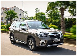 Hơn 600 xe Subaru Forester tại Việt Nam bị thu hồi