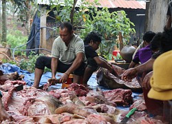 Huyện vùng cao mổ heo, tặng thịt gạo cho đồng bào khó khăn ăn Tết