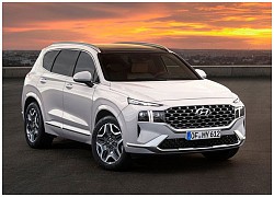 Hyundai Santa Fe kém xa Kia Sorento về doanh số