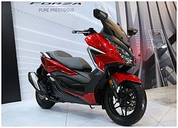 Tăng lực vào phân khúc xe tay ga, Honda trình làng Forza 250 mới