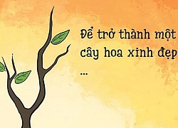 Tâm sự của một cái cây ngày cận Tết