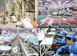 Tháng đầu năm 2021: Kim ngạch xuất nhập khẩu tăng trưởng hơn 48%