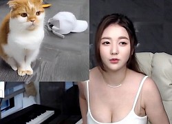 Bị chỉ trích nghiện khoe ngực, nữ streamer gợi cảm phản pháo "Cái gì đẹp thì tôi khoe"