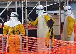 Dịch bệnh Ebola bùng phát tại Guinea