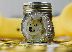 Elon Musk vừa thổi bay hàng tỷ USD vốn hóa của Dogecoin