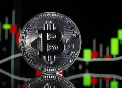 Giá bitcoin cao nhất mọi thời đại, bong bóng tài sản lớn nhất thế giới đang hình thành?