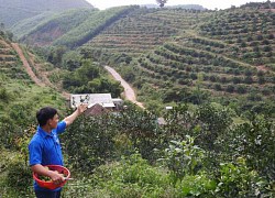 Huyện biên giới đầu tiên cả nước hoàn thành các tiêu chí nông thôn mới