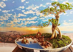 Người đàn ông Nha Trang sở hữu hàng nghìn bonsai, tiểu cảnh mini