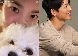 Song Joong Ki và Song Hye Kyo đồng loạt có động thái ngày Valentine: Đàng trai vừa mở Instagram, đàng gái bỗng "update" luôn?