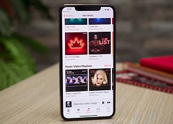 Apple Music triển khai tính năng Replay 2021