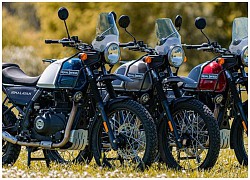 Cận cảnh mô tô mạo hiểm Royal Enfield Himalayan 2021 vừa ra mắt