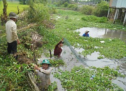 Độ mặn giảm nhưng xâm nhập sâu, nhiều tỉnh miền Tây khuyến cáo trữ nước ngọt