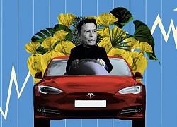 Chuyện gì sẽ xảy ra nếu 'bong bóng Tesla' vỡ tung?