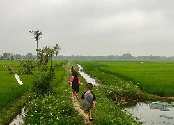 Con tạm dừng tới trường, phụ huynh cuống cuồng tìm phương án cho câu hỏi: "Ai trông con cho đến cuối tháng để đi làm?"