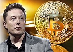 Elon Musk muốn biến Bitcoin thành vàng