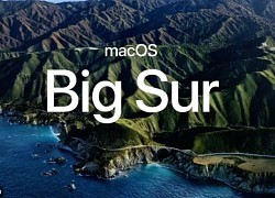 Lỗi sơ đẳng của Apple khiến người dùng Mac có thể mất dữ liệu